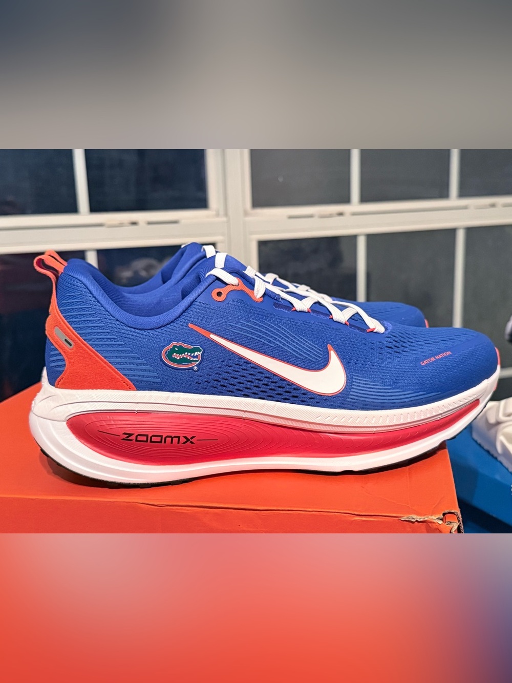 Nike Vomero 18 ‘Florida’